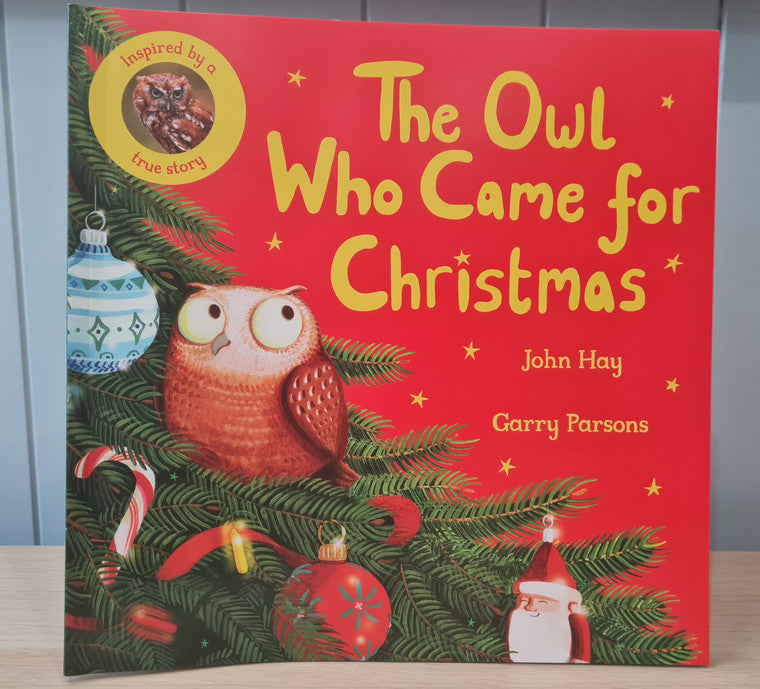 Little Owl and Christmas book set.